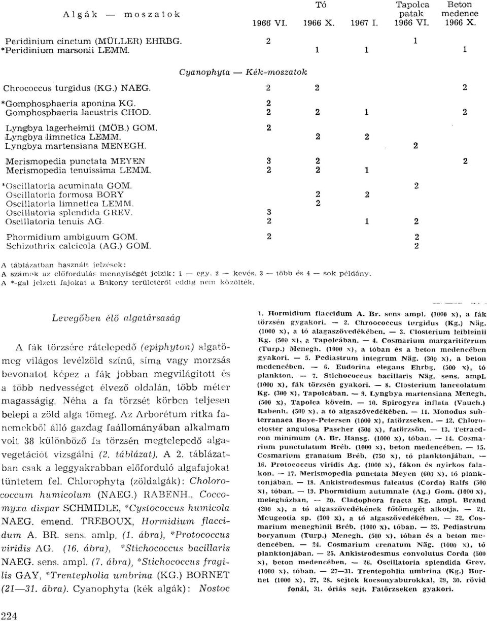 Merismopedia punctata MEYEN Merismopedia tenuisslma LEMM. *Oscillatoria acuminata GOM. Oscillatoria formosa BORY Oscillatoria limnetica LEMM. Oscillatoria splendida GREV. Oscillatoria tenuis AG.