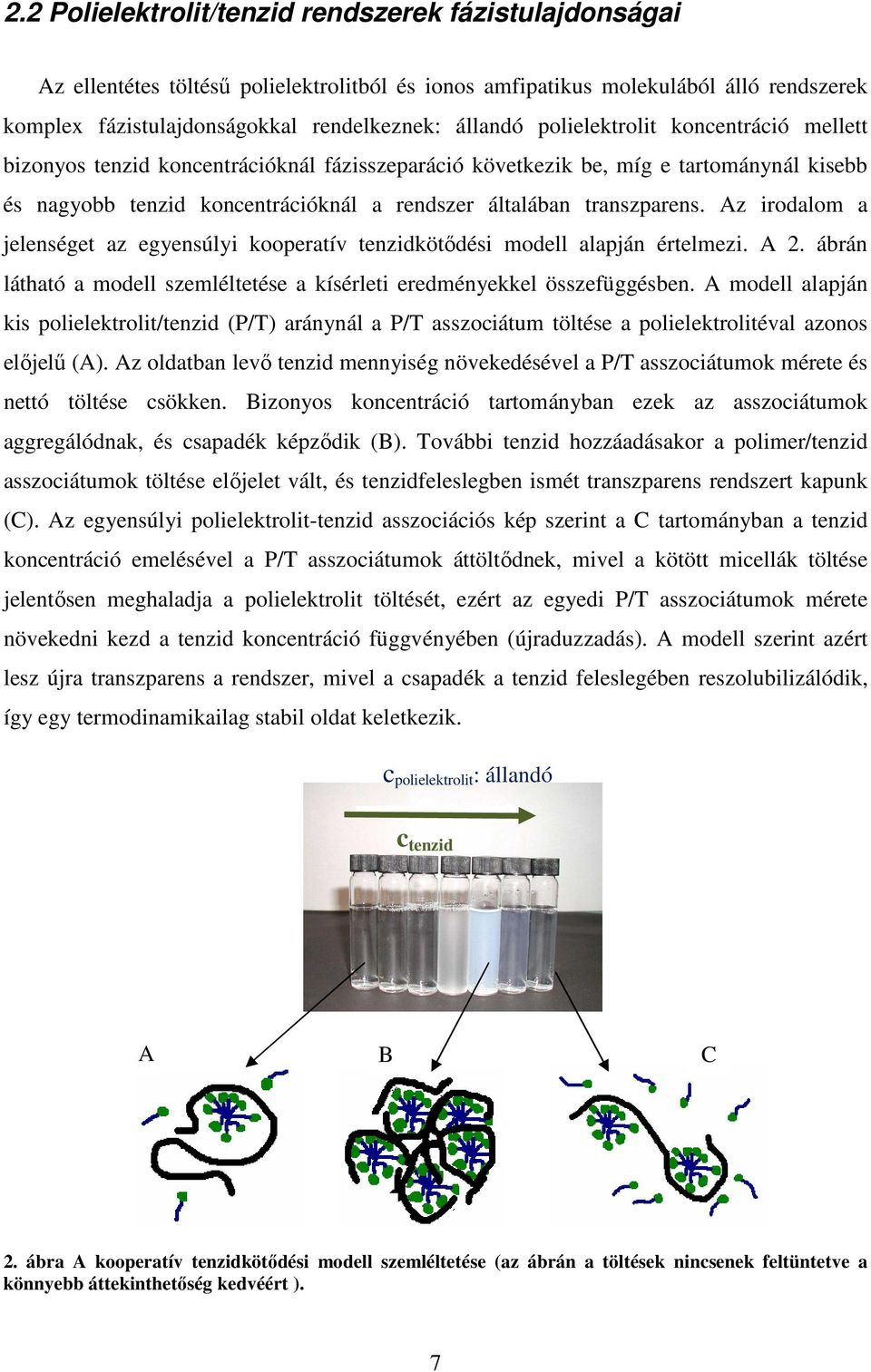 Az irodalom a jelenséget az egyensúlyi kooperatív tenzidkötődési modell alapján értelmezi. A 2. ábrán látható a modell szemléltetése a kísérleti eredményekkel összefüggésben.