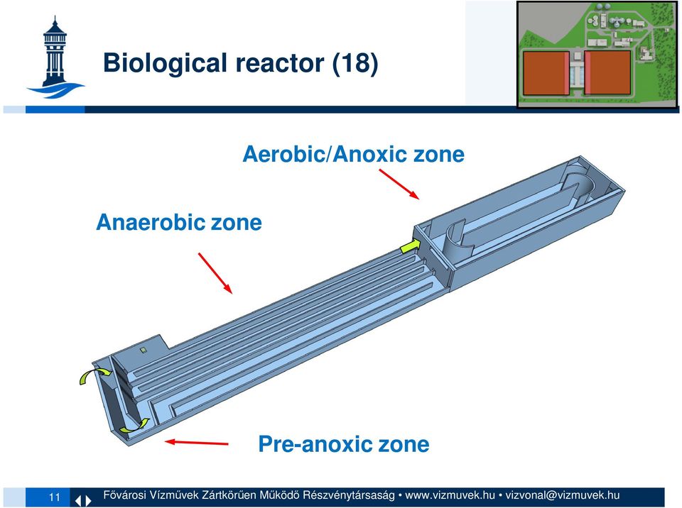 zone Anaerobic zone