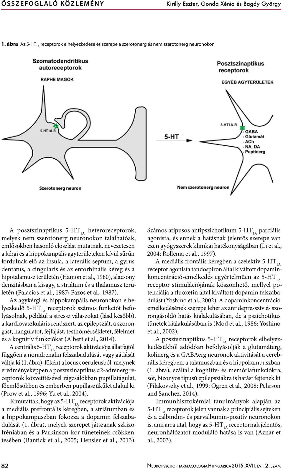 eloszlást mutatnak, nevezetesen a kérgi és a hippokampális agyterületeken kívül sűrűn fordulnak elő az insula, a laterális septum, a gyrus dentatus, a cinguláris és az entorhinális kéreg és a