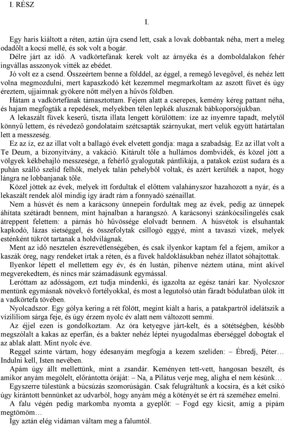 Összeértem benne a földdel, az éggel, a remegő levegővel, és nehéz lett volna megmozdulni, mert kapaszkodó két kezemmel megmarkoltam az aszott füvet és úgy éreztem, ujjaimnak gyökere nőtt mélyen a