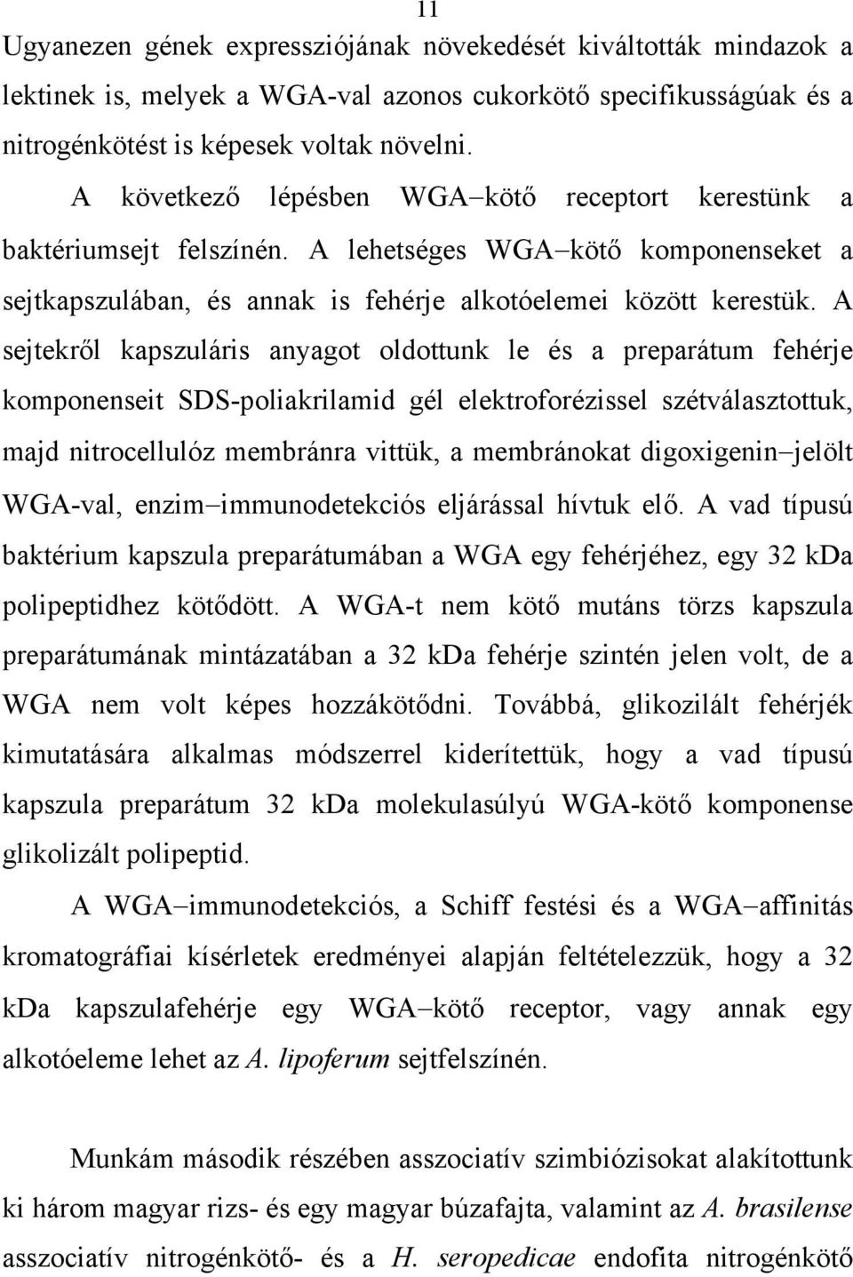 A sejtekről kapszuláris anyagot oldottunk le és a preparátum fehérje komponenseit SDS-poliakrilamid gél elektroforézissel szétválasztottuk, majd nitrocellulóz membránra vittük, a membránokat