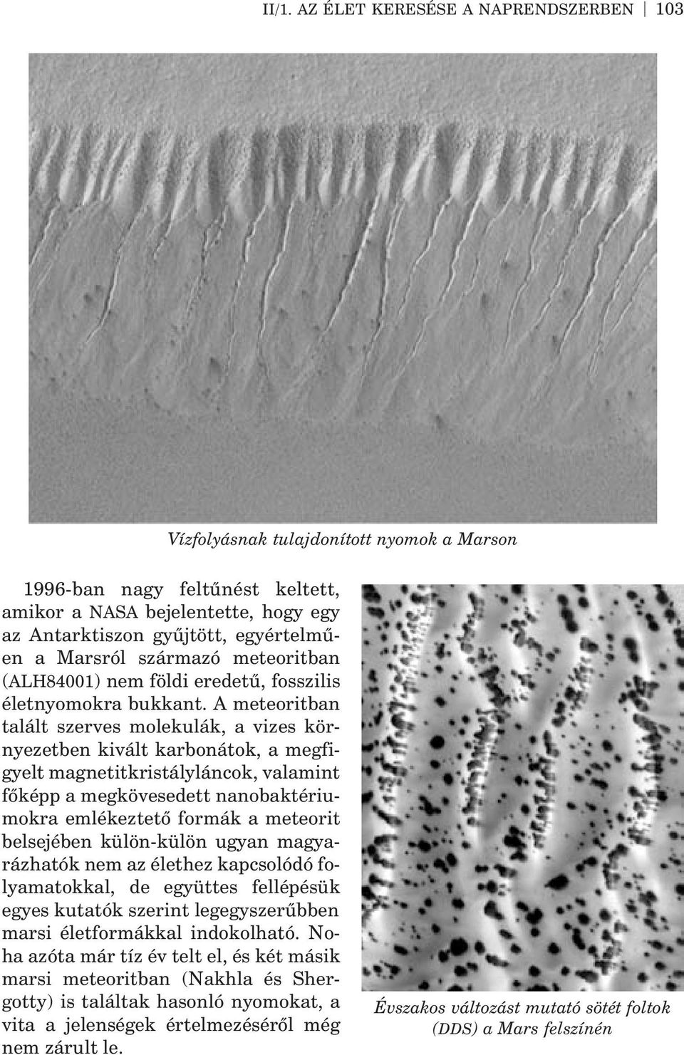 A meteoritban talált szerves molekulák, a vizes környezetben kivált karbonátok, a megfigyelt magnetitkristályláncok, valamint fõképp a megkövesedett nanobaktériumokra emlékeztetõ formák a meteorit