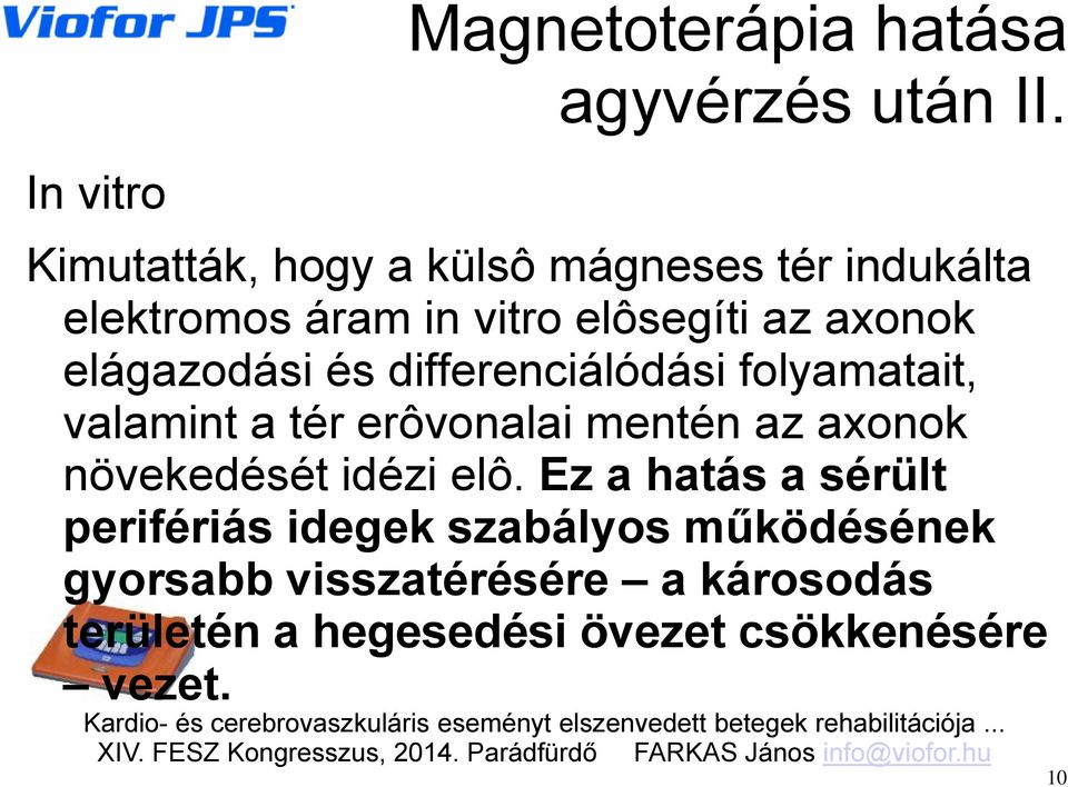 differenciálódási folyamatait, valamint a tér erôvonalai mentén az axonok növekedését idézi elô.