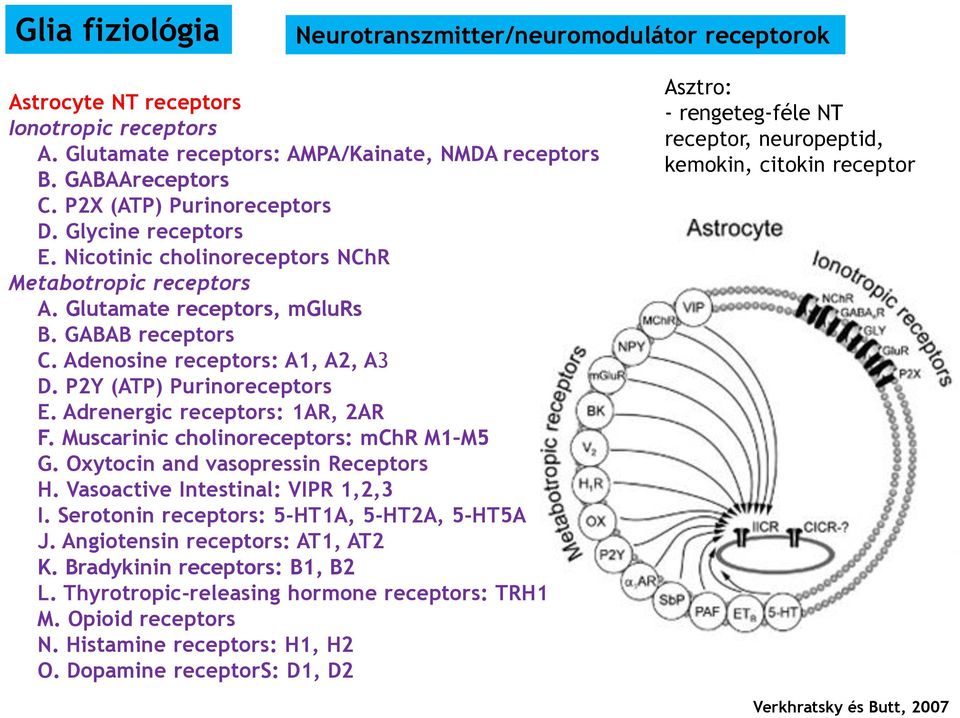 Adrenergic receptors: 1AR, 2AR F. Muscarinic cholinoreceptors: mchr M1 M5 G. Oxytocin and vasopressin Receptors H. Vasoactive Intestinal: VIPR 1,2,3 I. Serotonin receptors: 5-HT1A, 5-HT2A, 5-HT5A J.