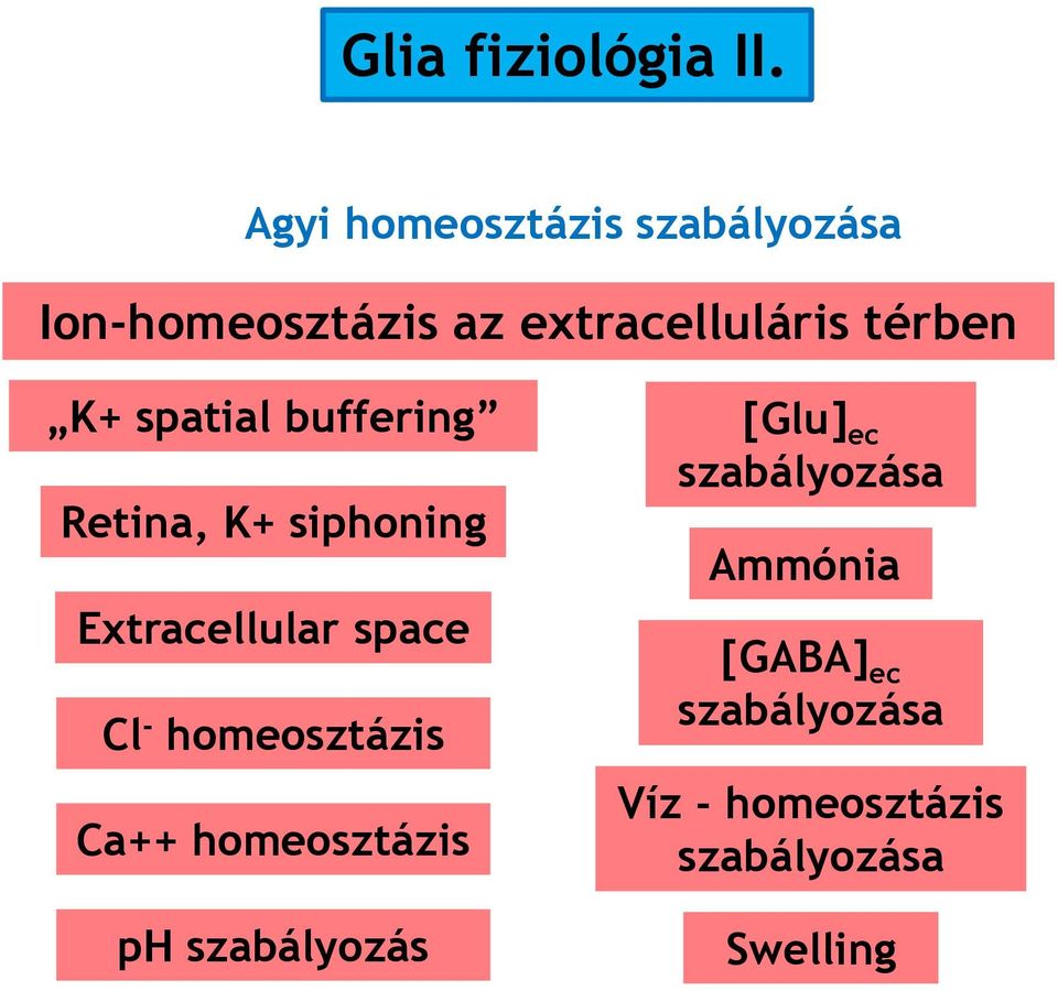 Cl - homeosztázis Ca++ homeosztázis ph szabályozás [Glu] ec