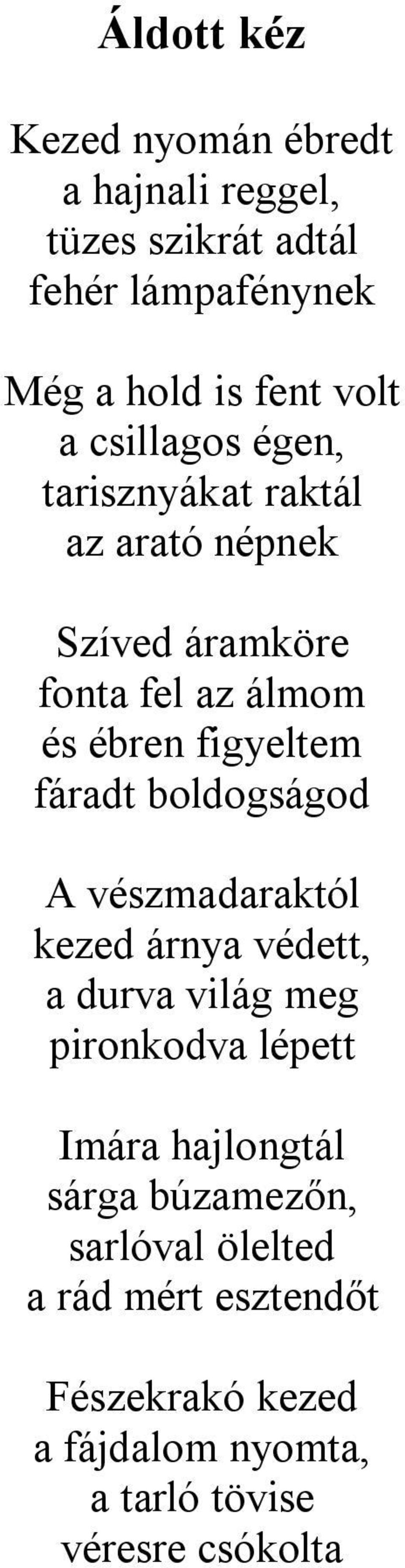 fáradt boldogságod A vészmadaraktól kezed árnya védett, a durva világ meg pironkodva lépett Imára hajlongtál