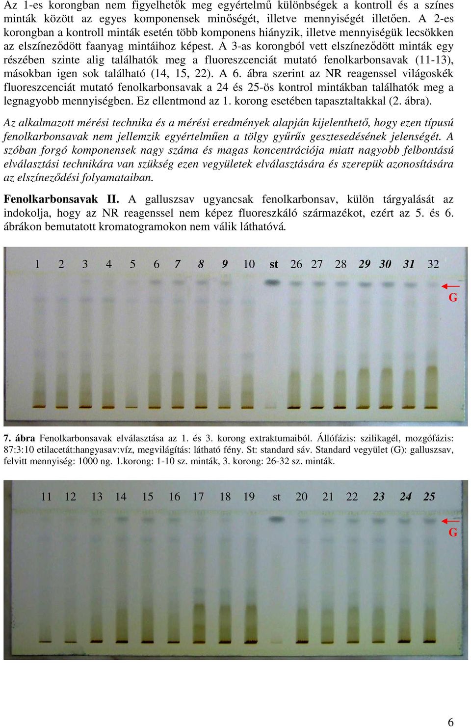A 3-as korongból vett elszínezıdött minták egy részében szinte alig találhatók meg a fluoreszcenciát mutató fenolkarbonsavak (11-13), másokban igen sok található (14, 15, 22). A 6.
