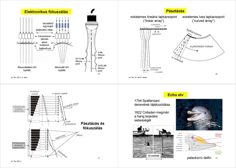 Hang: mechanikai hullám (modell) Ultrahangos képalkotó módszerek. síp.  térbeli és időbeli periodicitás. rugó. függvény - PDF Ingyenes letöltés