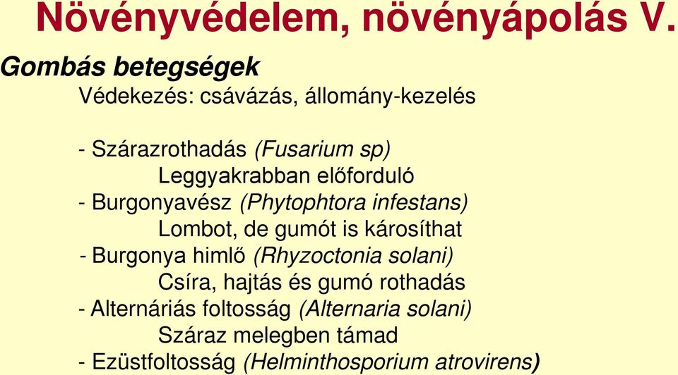 Leggyakrabban előforduló - Burgonyavész (Phytophtora infestans) Lombot, de gumót is károsíthat -