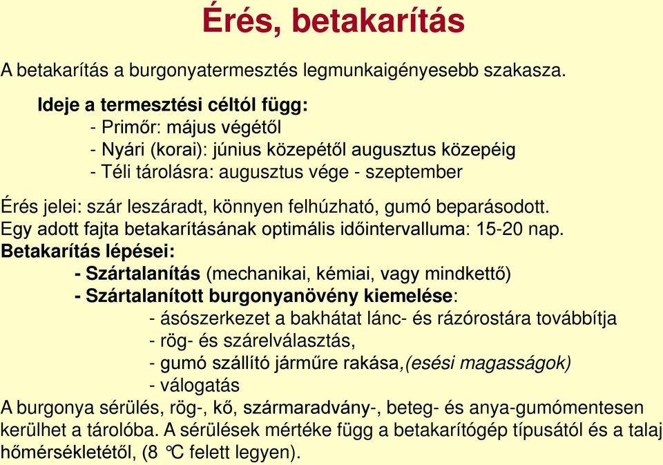 felhúzható, gumó beparásodott. Egy adott fajta betakarításának optimális időintervalluma: 15-20 nap.