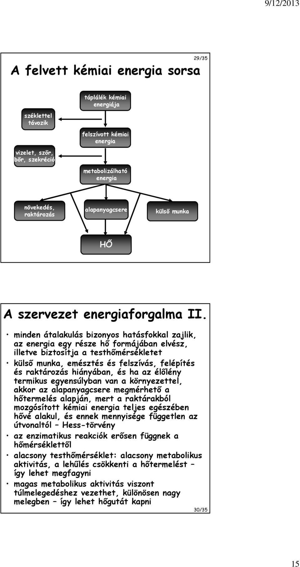 minden átalakulás bizonyos hatásfokkal zajlik, az energia egy része hő formájában elvész, illetve biztosítja a testhőmérsékletet külső munka, emésztés és felszívás, felépítés és raktározás hiányában,