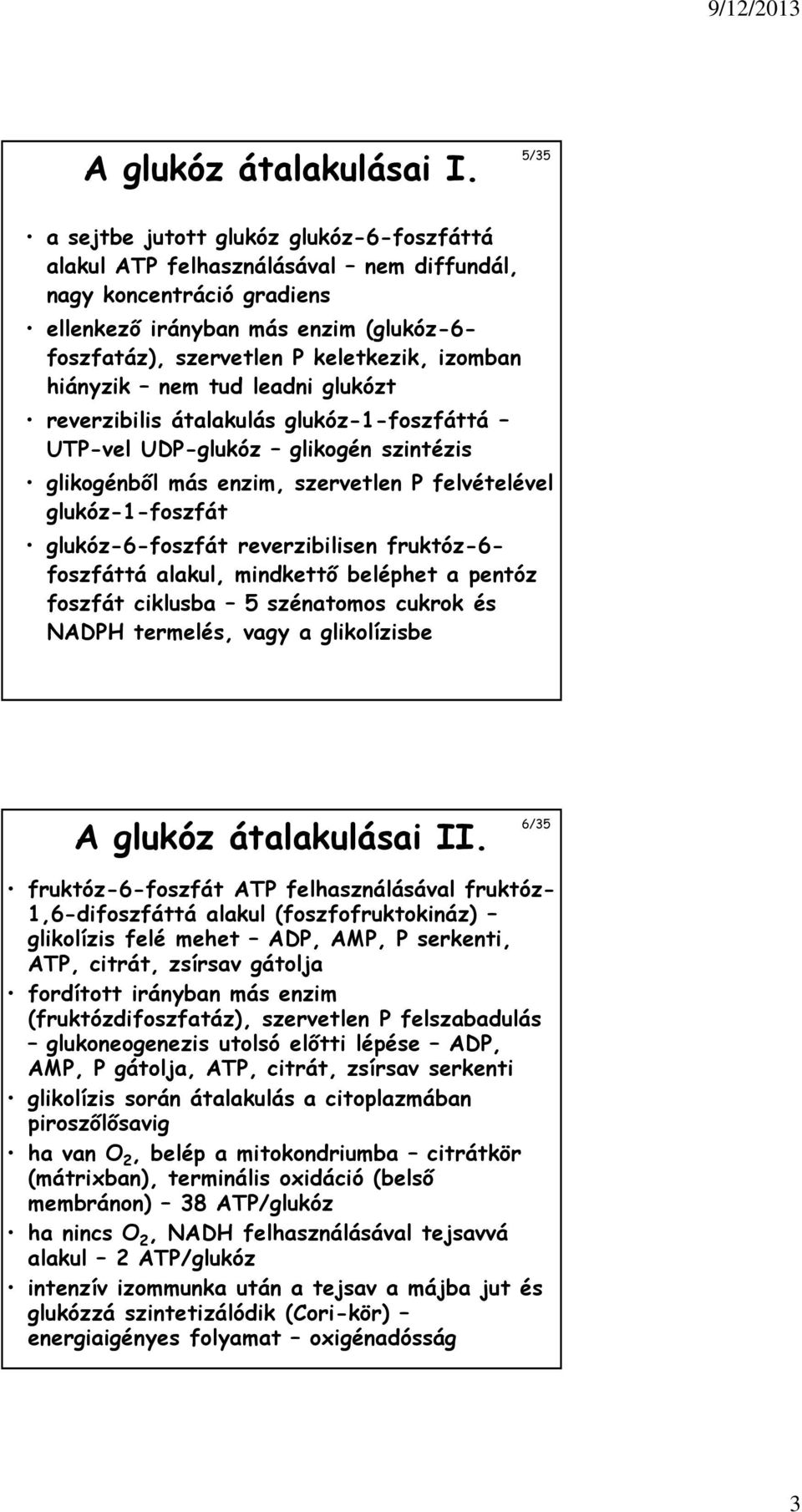 izomban hiányzik nem tud leadni glukózt reverzibilis átalakulás glukóz-1-foszfáttá UTP-vel UDP-glukóz glikogén szintézis glikogénből más enzim, szervetlen P felvételével glukóz-1-foszfát