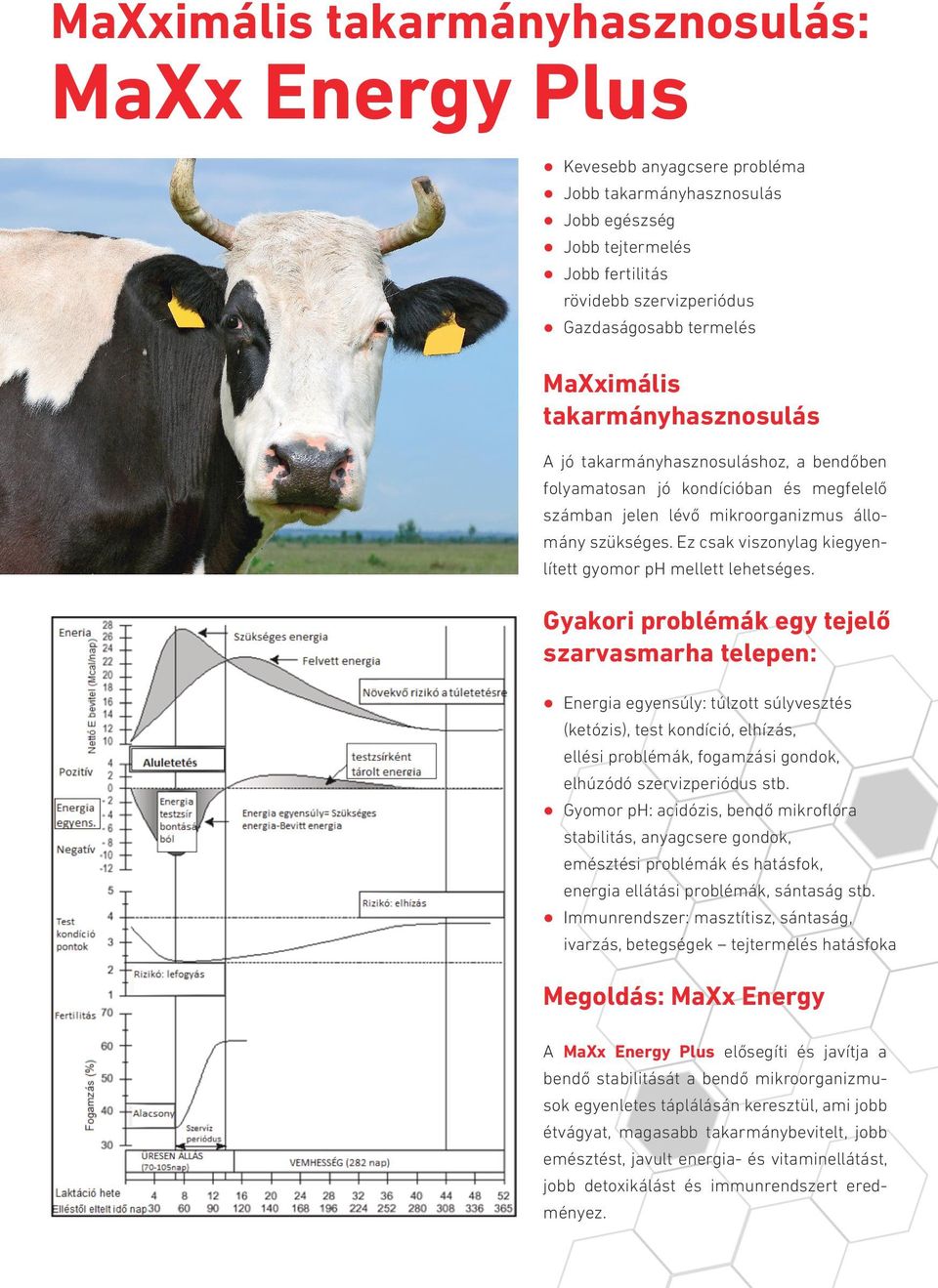 A török és a tehenek PDF - myssekoransqualsterg6