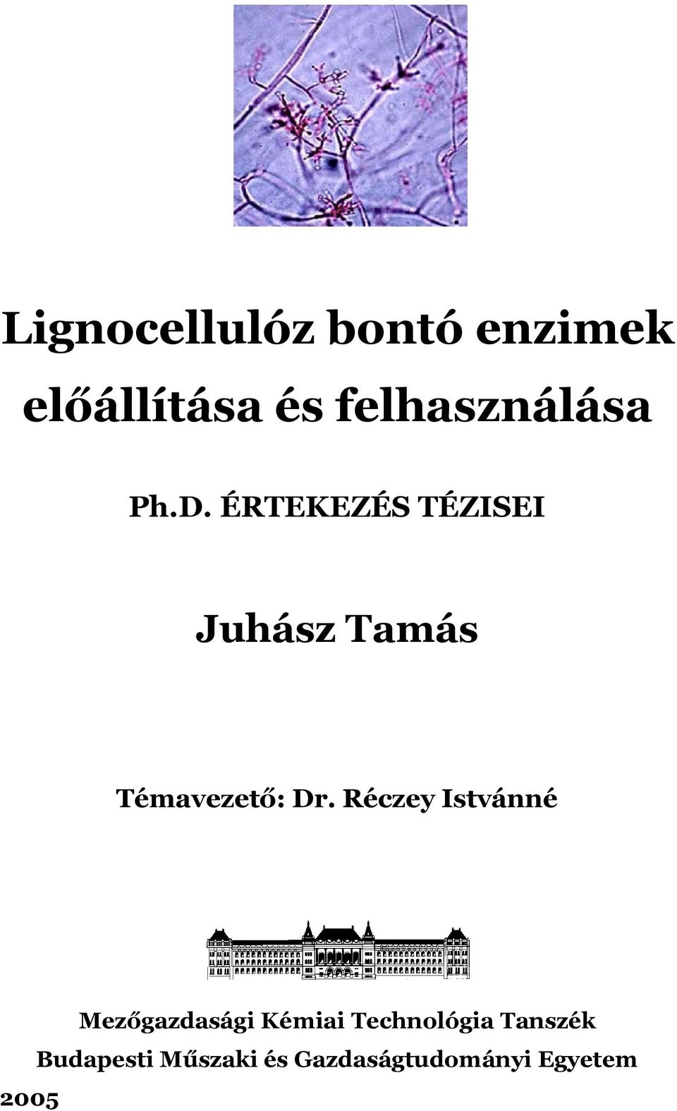 ÉRTEKEZÉS TÉZISEI Juhász Tamás Témavezető: Dr.