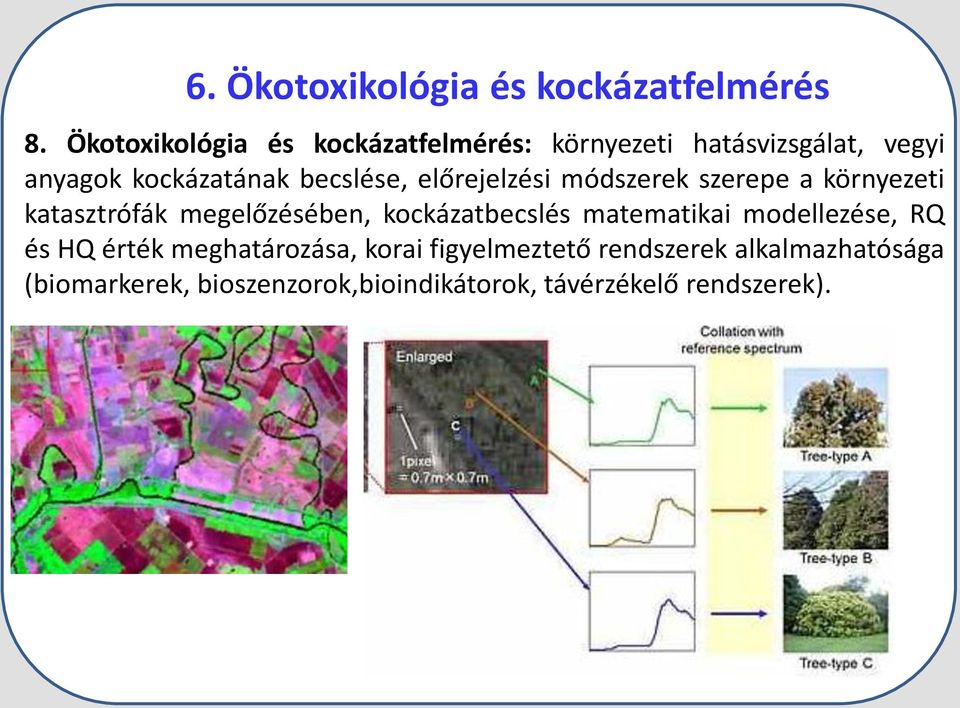 előrejelzési módszerek szerepe a környezeti katasztrófák megelőzésében, kockázatbecslés matematikai