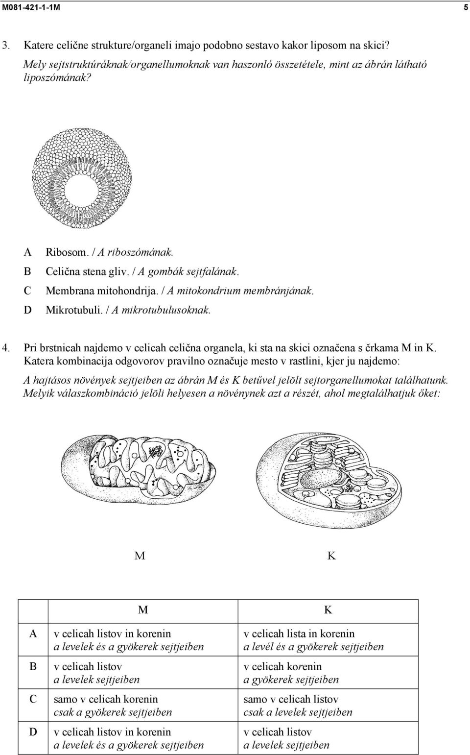 Pri brstnicah najdemo v celicah celična organela, ki sta na skici označena s črkama M in K.