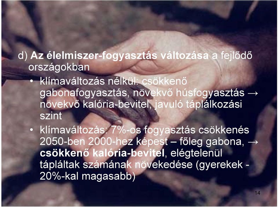 táplálkozási szint klímaváltozás: 7%-os fogyasztás csökkenés 2050-ben 2000-hez képest főleg