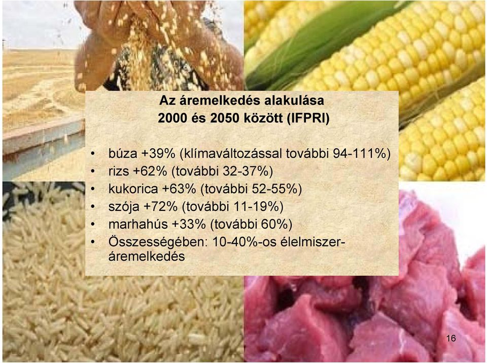 kukorica +63% (további 52-55%) szója +72% (további 11-19%)