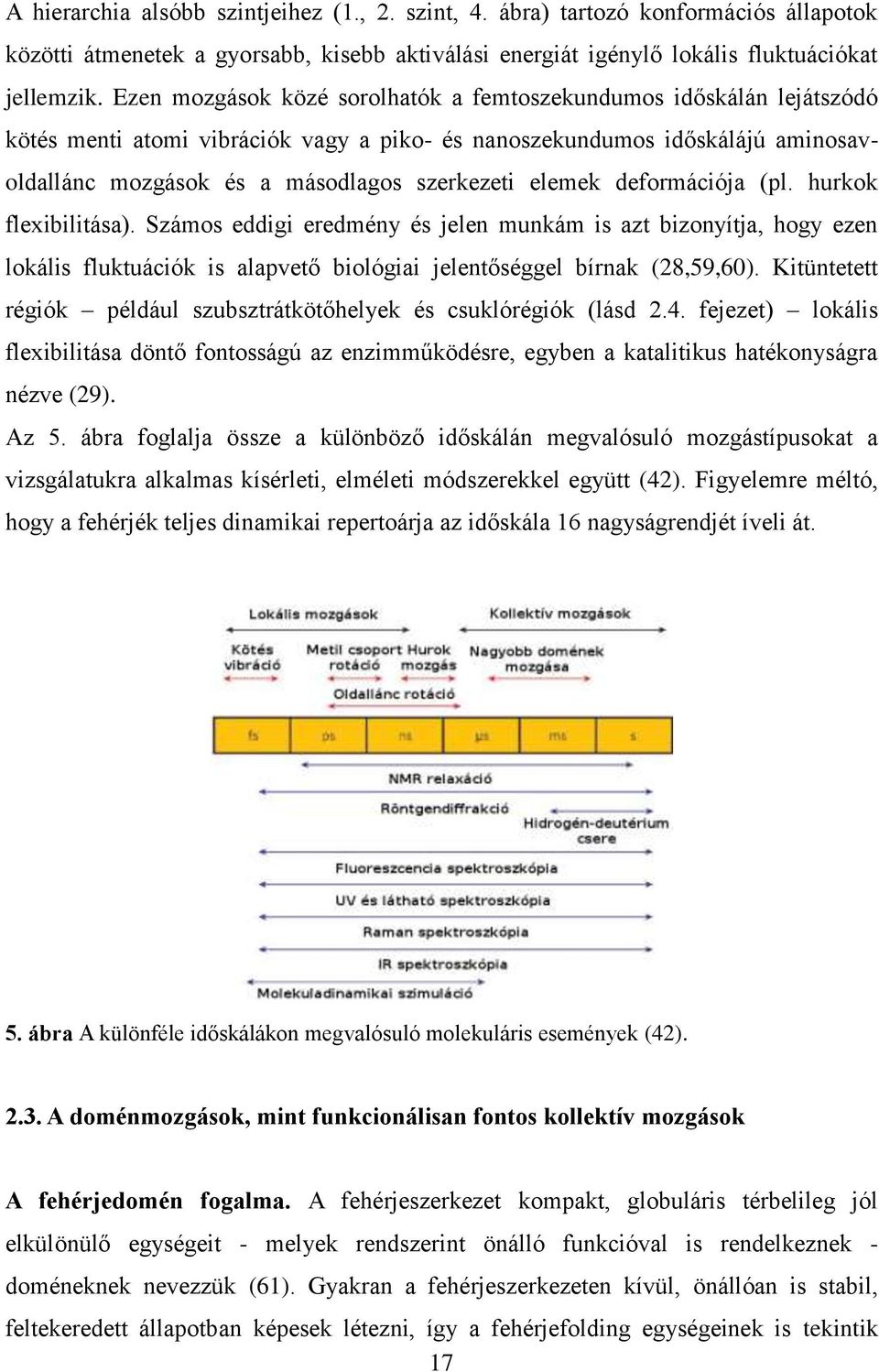 elemek deformációja (pl. hurkok flexibilitása). Számos eddigi eredmény és jelen munkám is azt bizonyítja, hogy ezen lokális fluktuációk is alapvető biológiai jelentőséggel bírnak (28,59,60).
