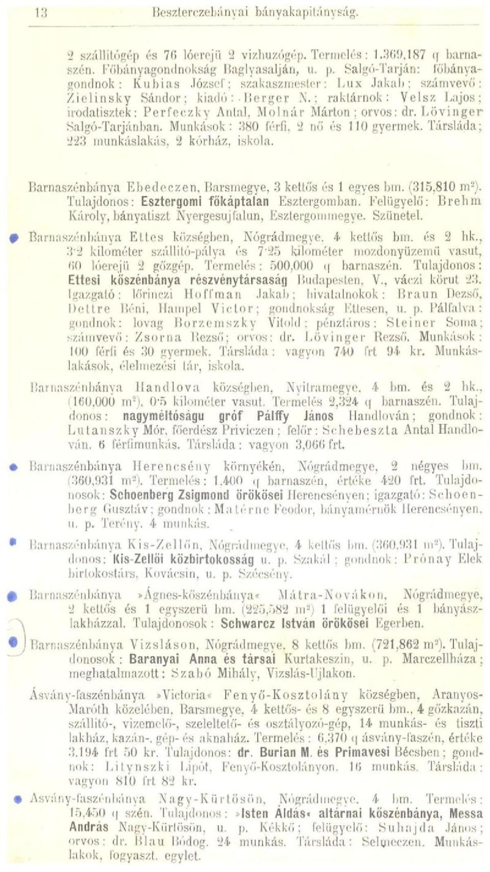 ; raktárnok : Vélsz Lajos; irodatisztek: Perfeczky Antal, Molnár Márton; orvos: dr. Lövinger Salgó-Tarjánban. Munkások: 380 férfi, 2 nő és 110 gyermek. Társláda; 223 munkáslakás, 2 kórház, iskola.