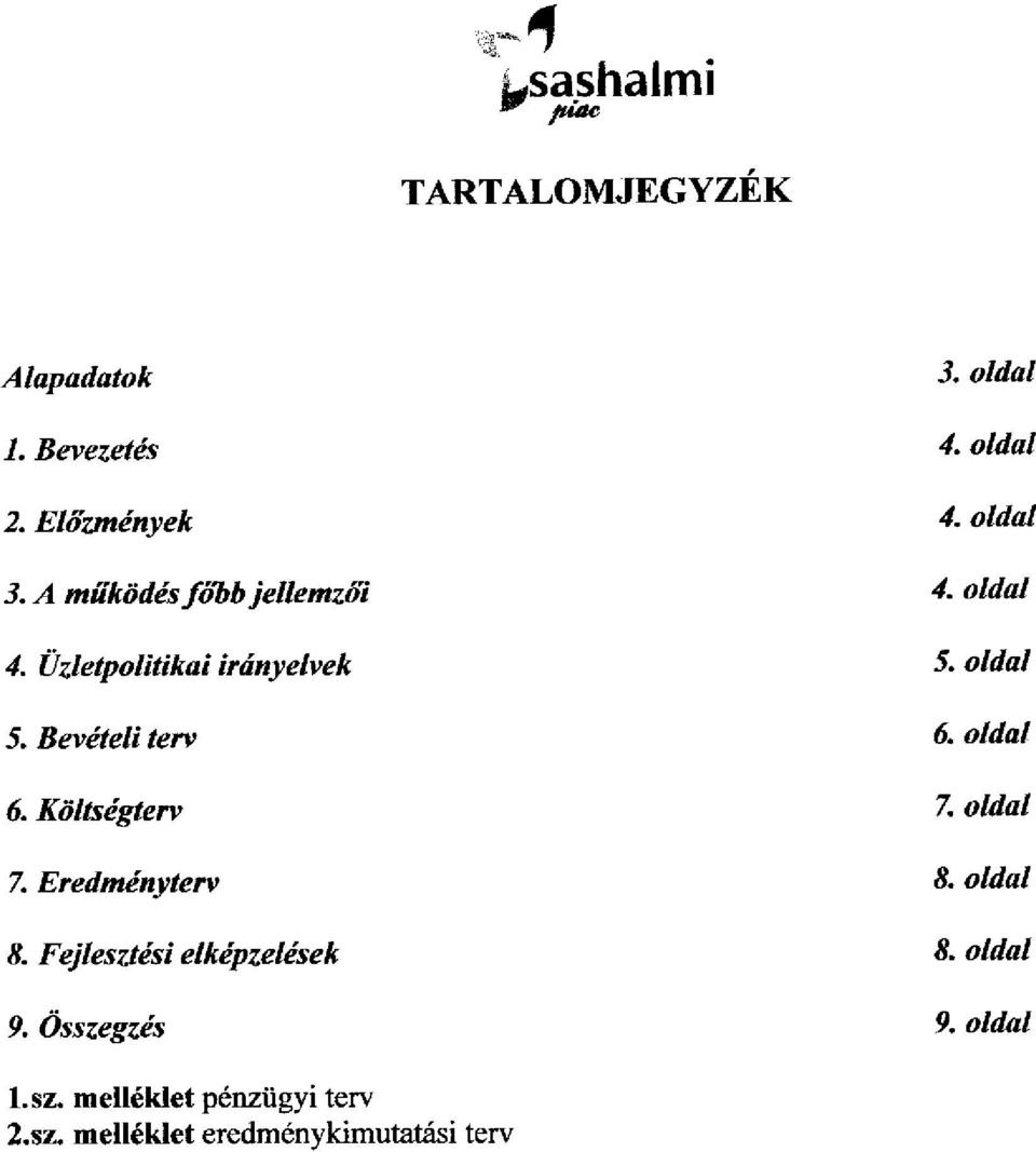 Bevételi terv 6. oldal 6. Költségterv 7. oldal 7. Eredményterv 8. oldal 8.