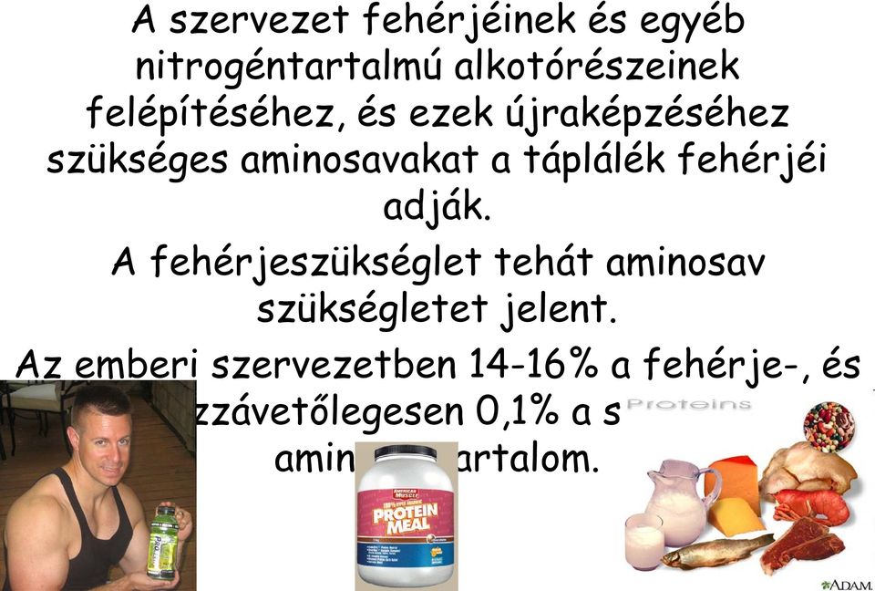 fehérjéi adják. A fehérjeszükséglet tehát aminosav szükségletet jelent.