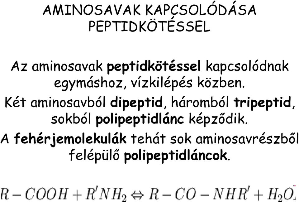 Két aminosavból dipeptid, háromból tripeptid, sokból