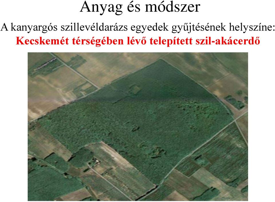gyűjtésének helyszíne: