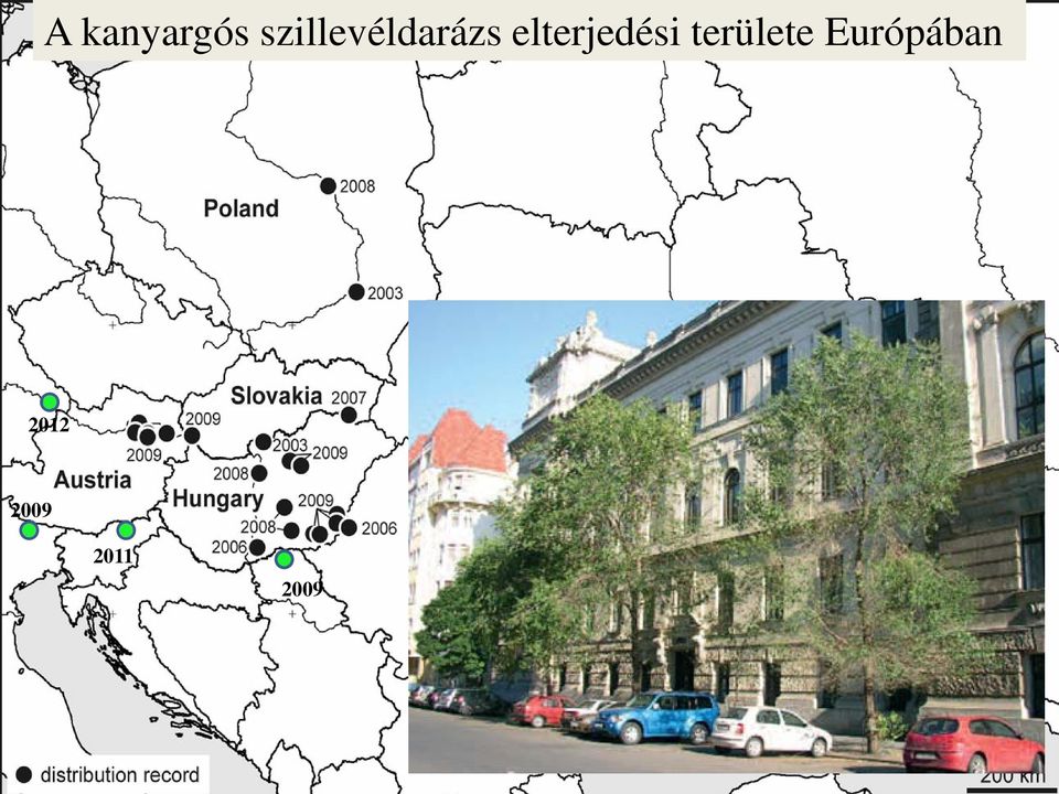 elterjedési területe