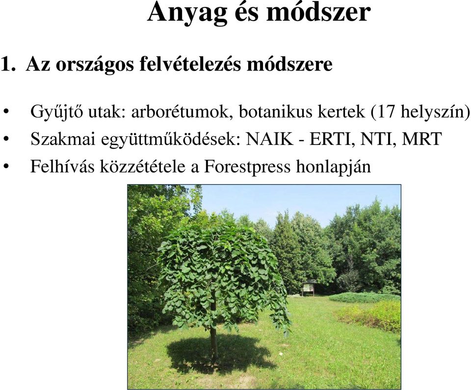 arborétumok, botanikus kertek (17 helyszín)