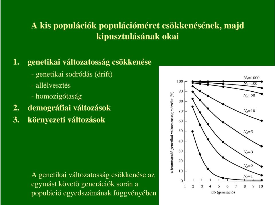 homozigótaság 2. demográfiai változások 3.