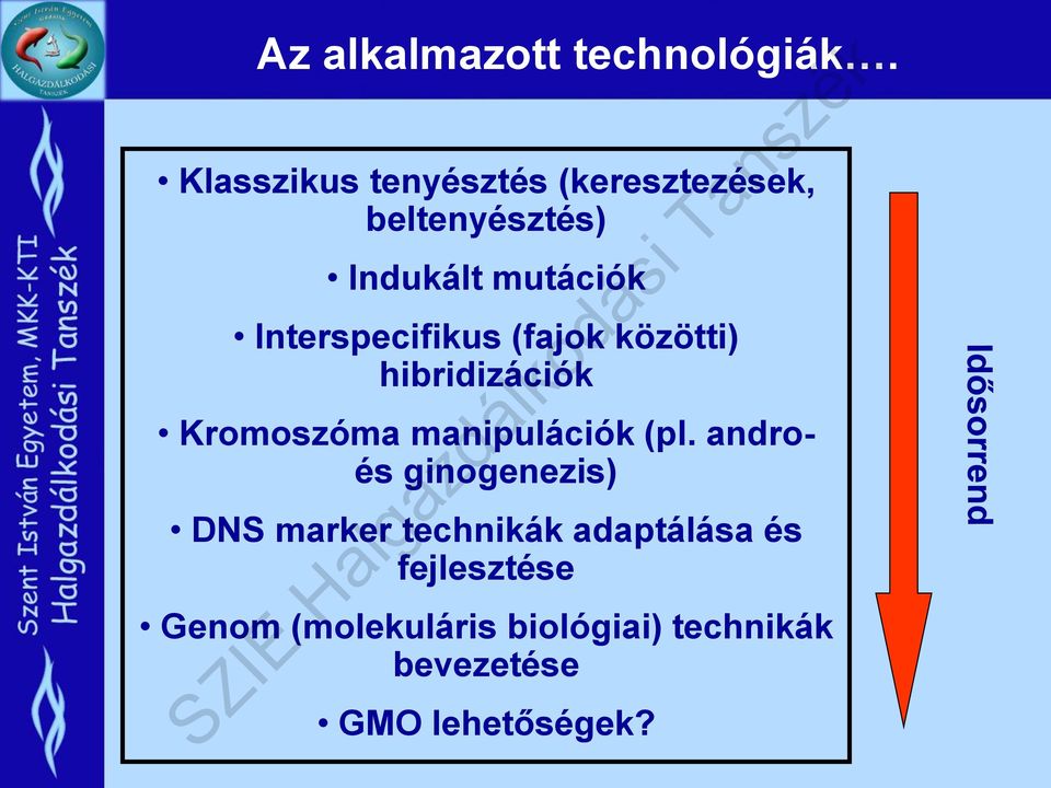 Interspecifikus (fajok közötti) hibridizációk Kromoszóma manipulációk (pl.