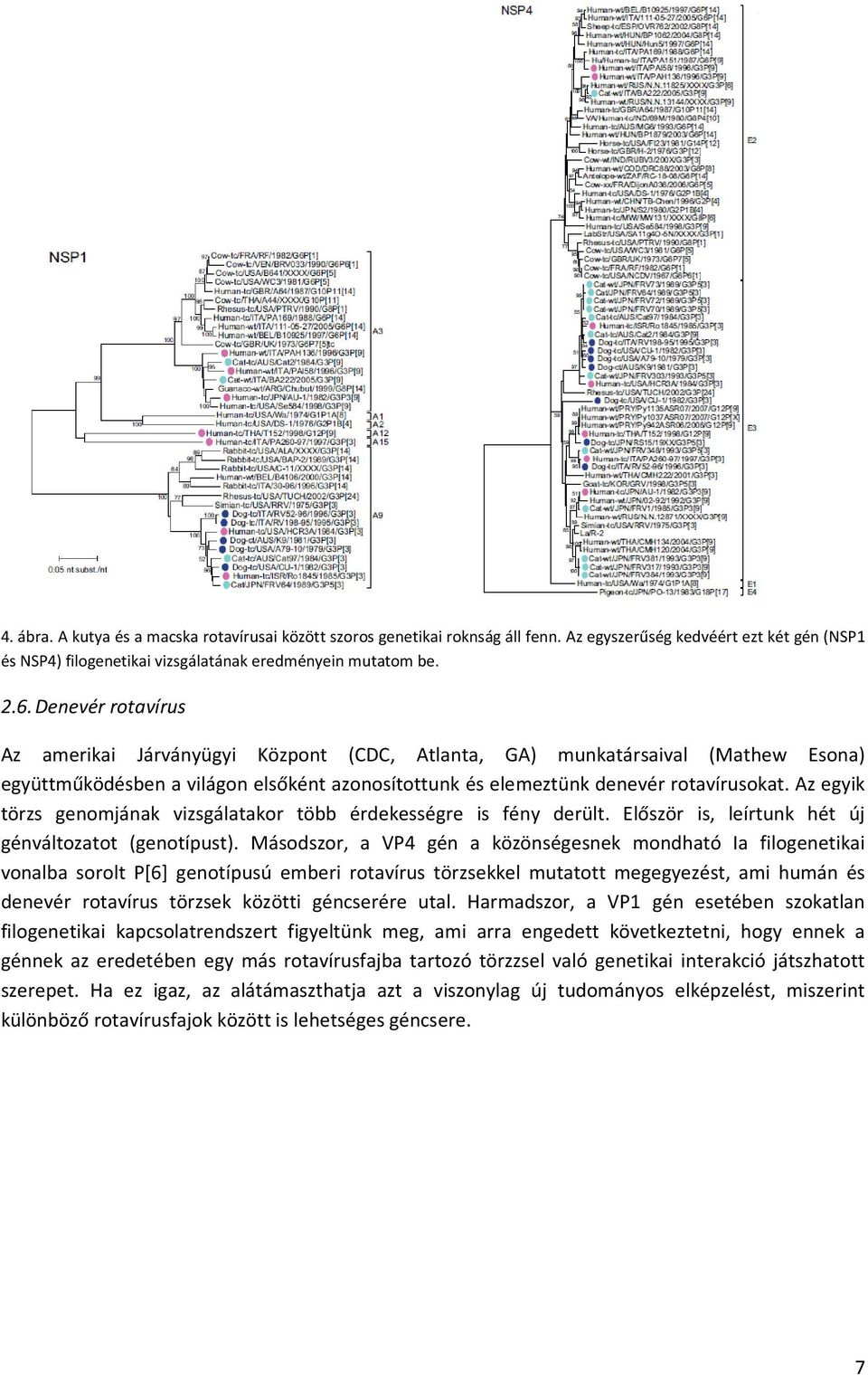 Az egyik törzs genomjának vizsgálatakor több érdekességre is fény derült. Először is, leírtunk hét új génváltozatot (genotípust).