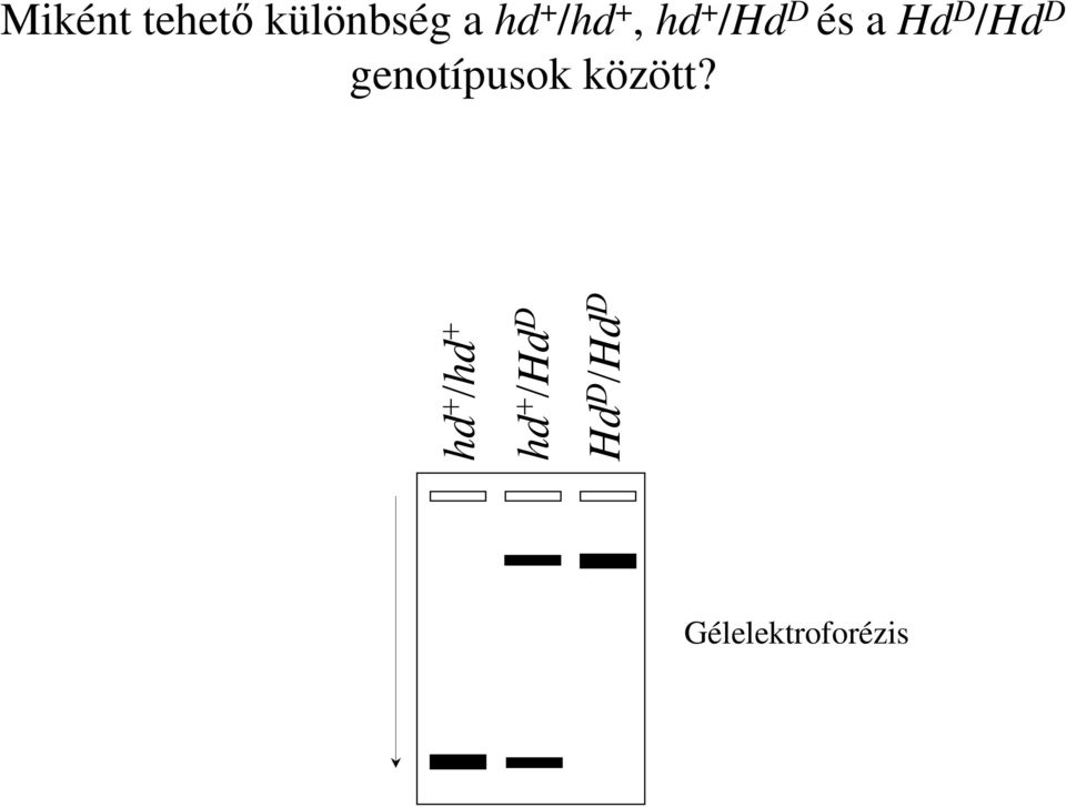 D genotípusok között?