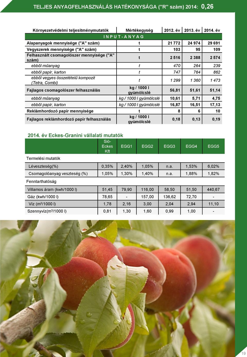 ebből műanyag t 470 264 239 ebből papír, karton t 747 764 862 ebből vegyes összetételű kompozit (Tetra, Combi) t 1 299 1 360 1 473 Fajlagos csomagolószer felhasználás kg / 1000 l gyümölcslé 56,81