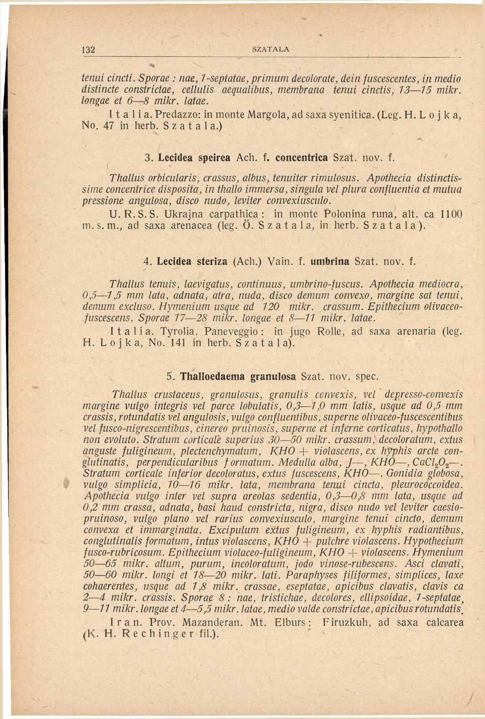 Apothecia distinctissime concentrice disposita, in thallo immersa, singula vel plura confluentia et mutua pressione angulosa, disco nudo, leviter convexiusculo. U. R. S.