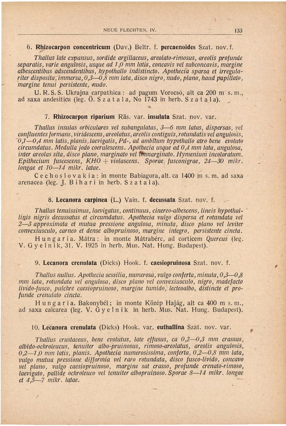 Thallus late expansus, sordide argillaceus, areolato-rimosus, areolis profunde separatis, varie angulosis, usque ad 1,0 mm latis, concavis vel subconcavis, margine albescentibus adscendentibus,