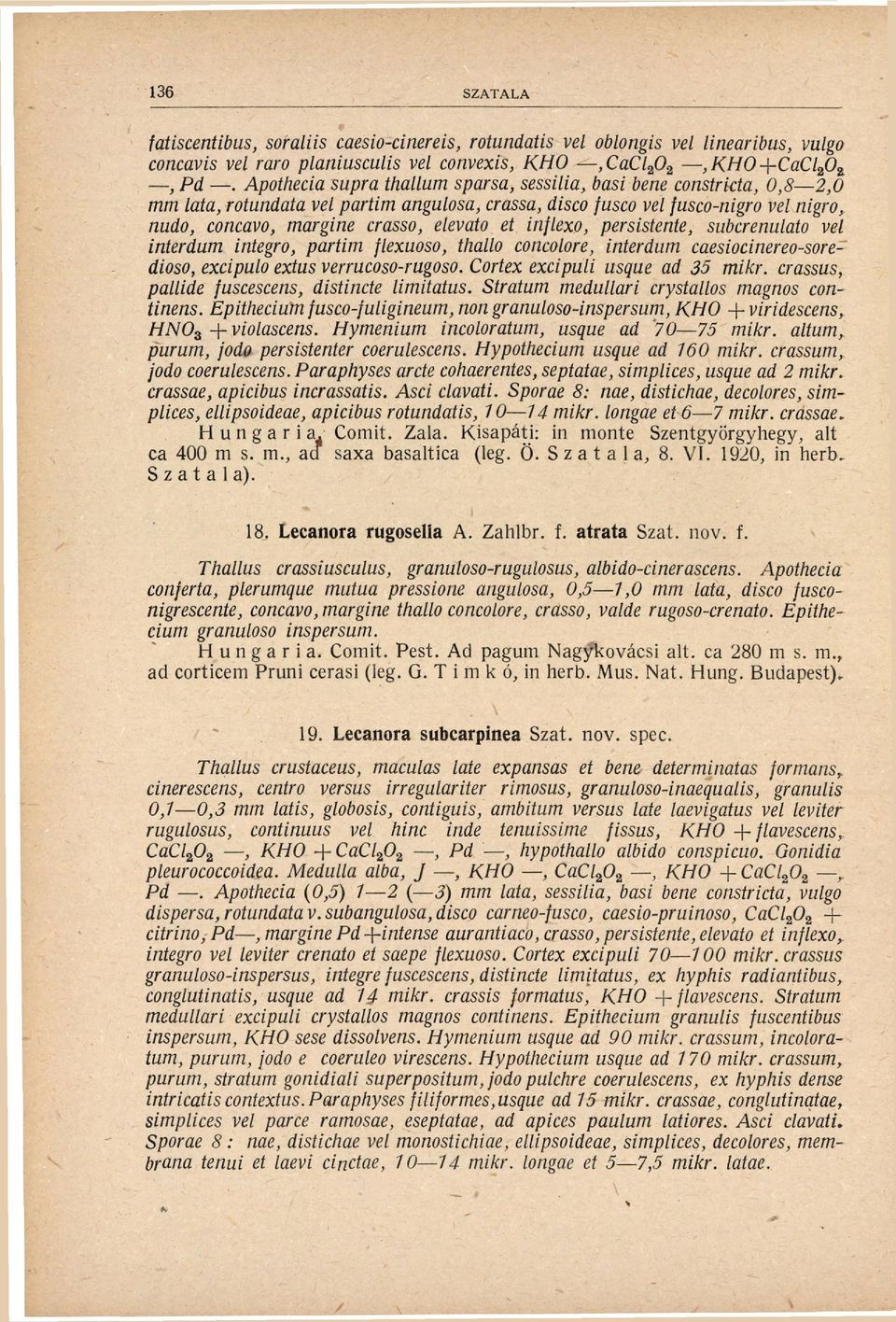 inflexo, persistente, subcrenulato vel interdum integro, partim flexuoso, thallo concolore, interdum caesiocinereo-soredioso, excipulo extus verrucoso-rugoso. Cortex excipuli usque ad 35 mikr.