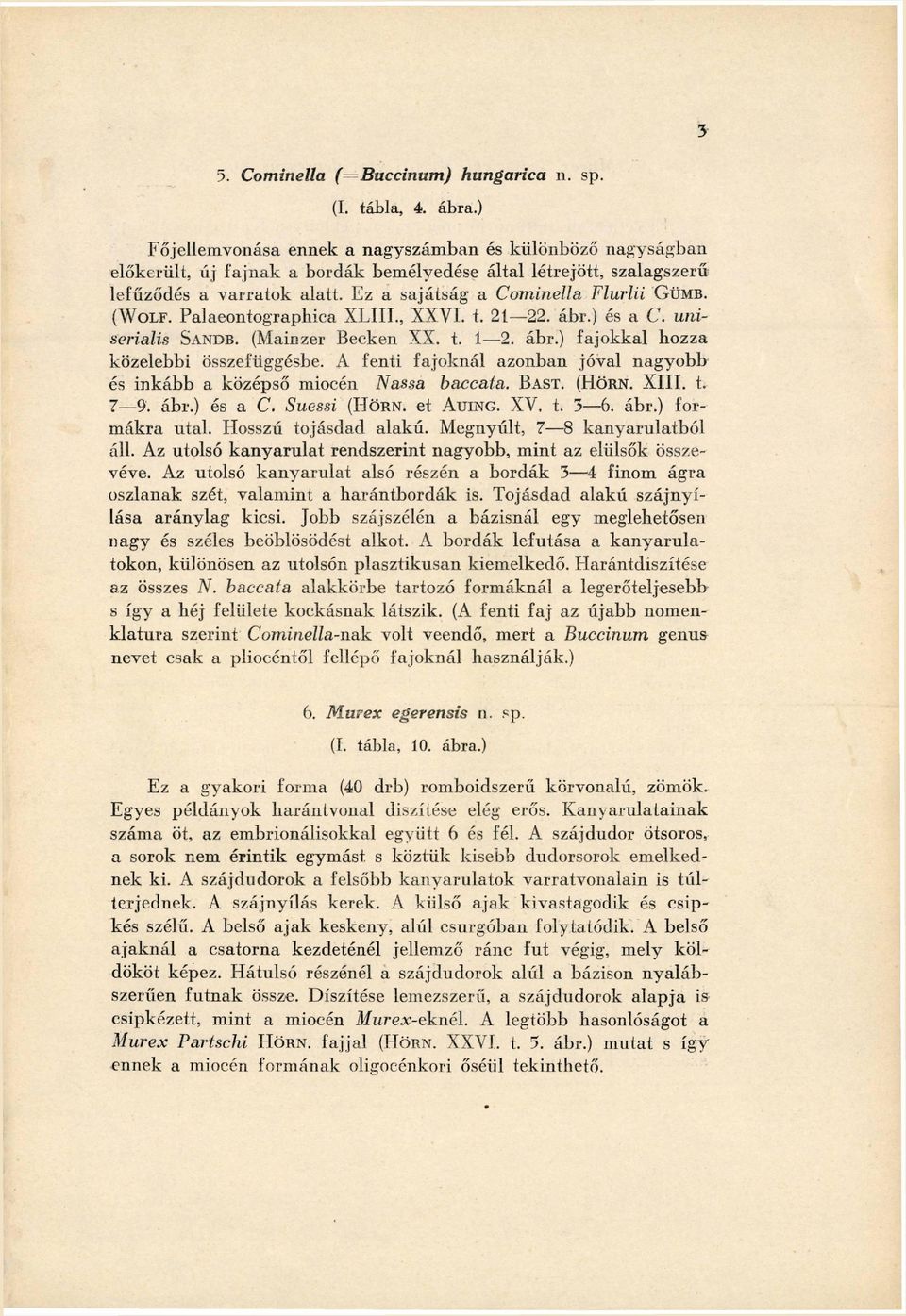 ( W O L F. Palaeontographica X L I I I., X X V I. t. 21 22. ábr.) és a C. uniserialis SANDB. (Mainzer Becken X X. t. 1 2. ábr.) fajokkal hozza közelebbi összefüggésbe.