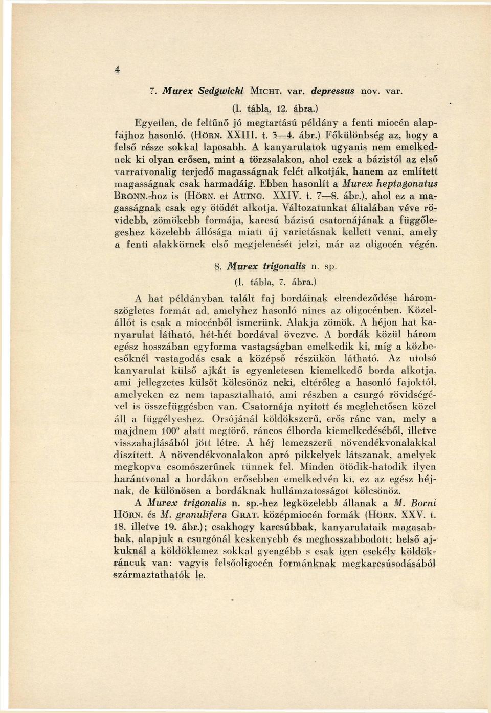 harmadáig. Ebben hasonlít a Murex heptagonatus BRONN.-UOZ is (HÖRN, et A U I N G. X X I V. t. 7 8. ábr.), ahol ez a ma gasságnak csak egy ötödét alkotja.