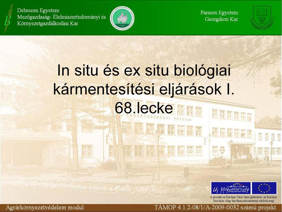 kármentesítési