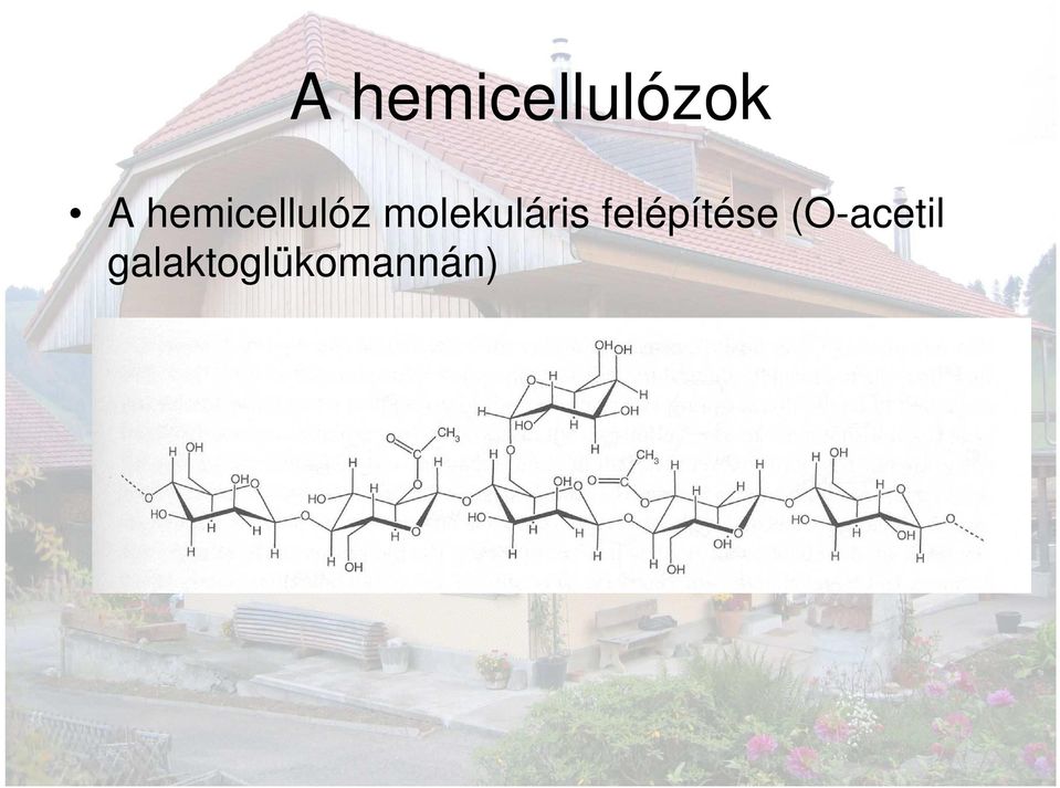 molekuláris