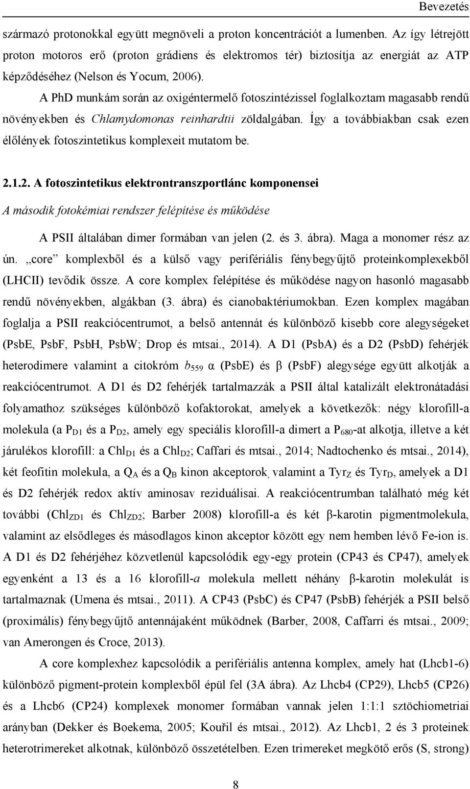 A PhD munkám során az oxigéntermelő fotoszintézissel foglalkoztam magasabb rendű növényekben és Chlamydomonas reinhardtii zöldalgában.