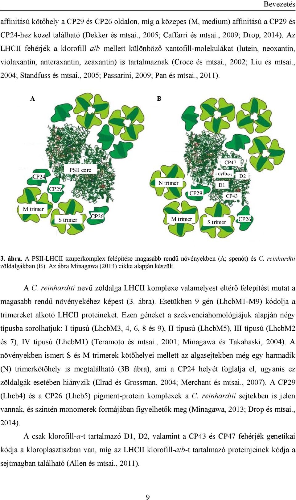 , 2004; Standfuss és mtsai., 2005; Passarini, 2009; Pan és mtsai., 2011).