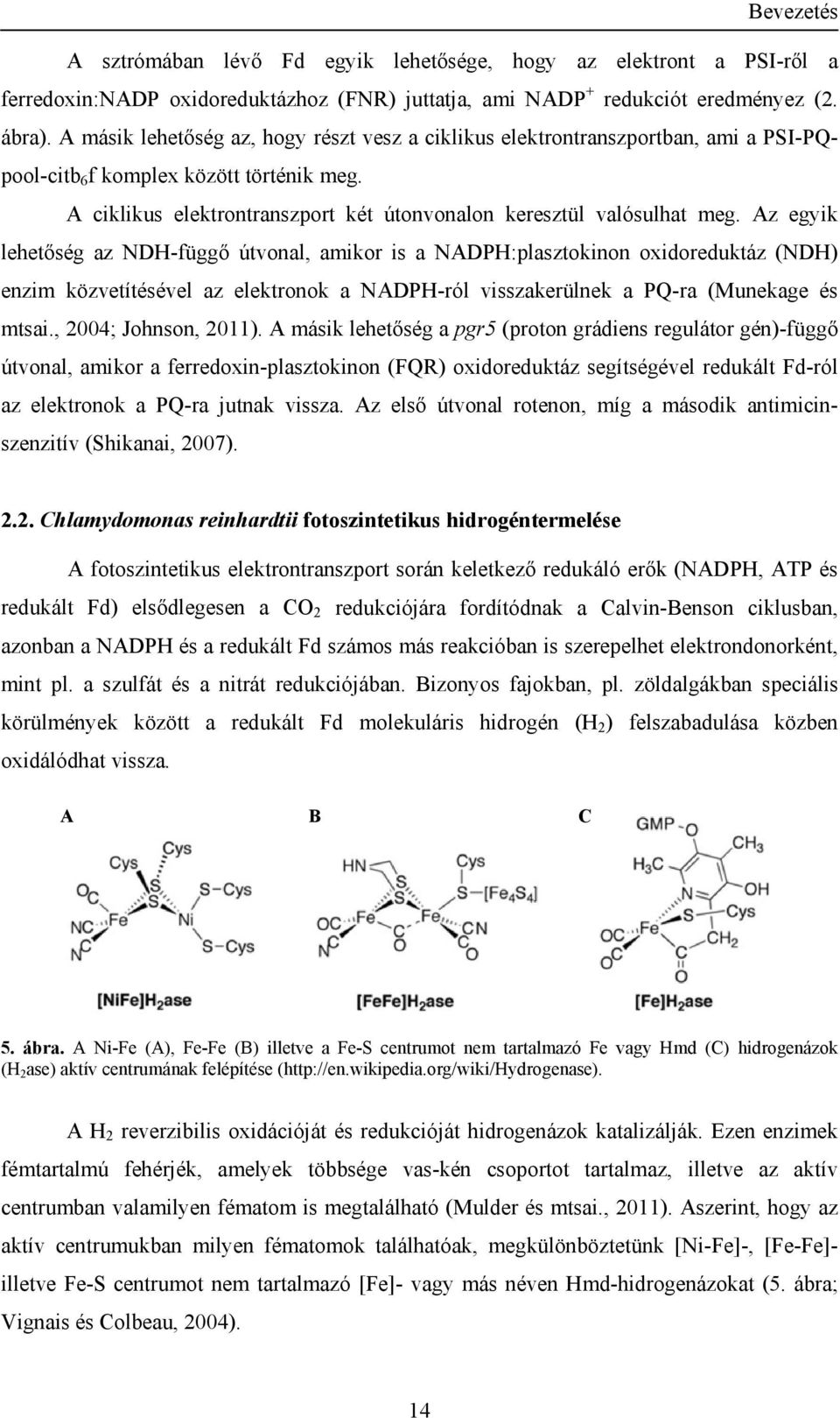 Az egyik lehetőség az NDH-függő útvonal, amikor is a NADPH:plasztokinon oxidoreduktáz (NDH) enzim közvetítésével az elektronok a NADPH-ról visszakerülnek a PQ-ra (Munekage és mtsai.