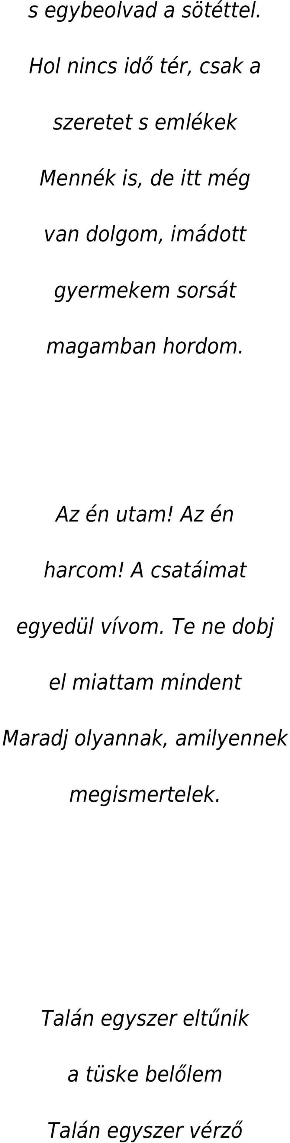 imádott gyermekem sorsát magamban hordom. Az én utam! Az én harcom!