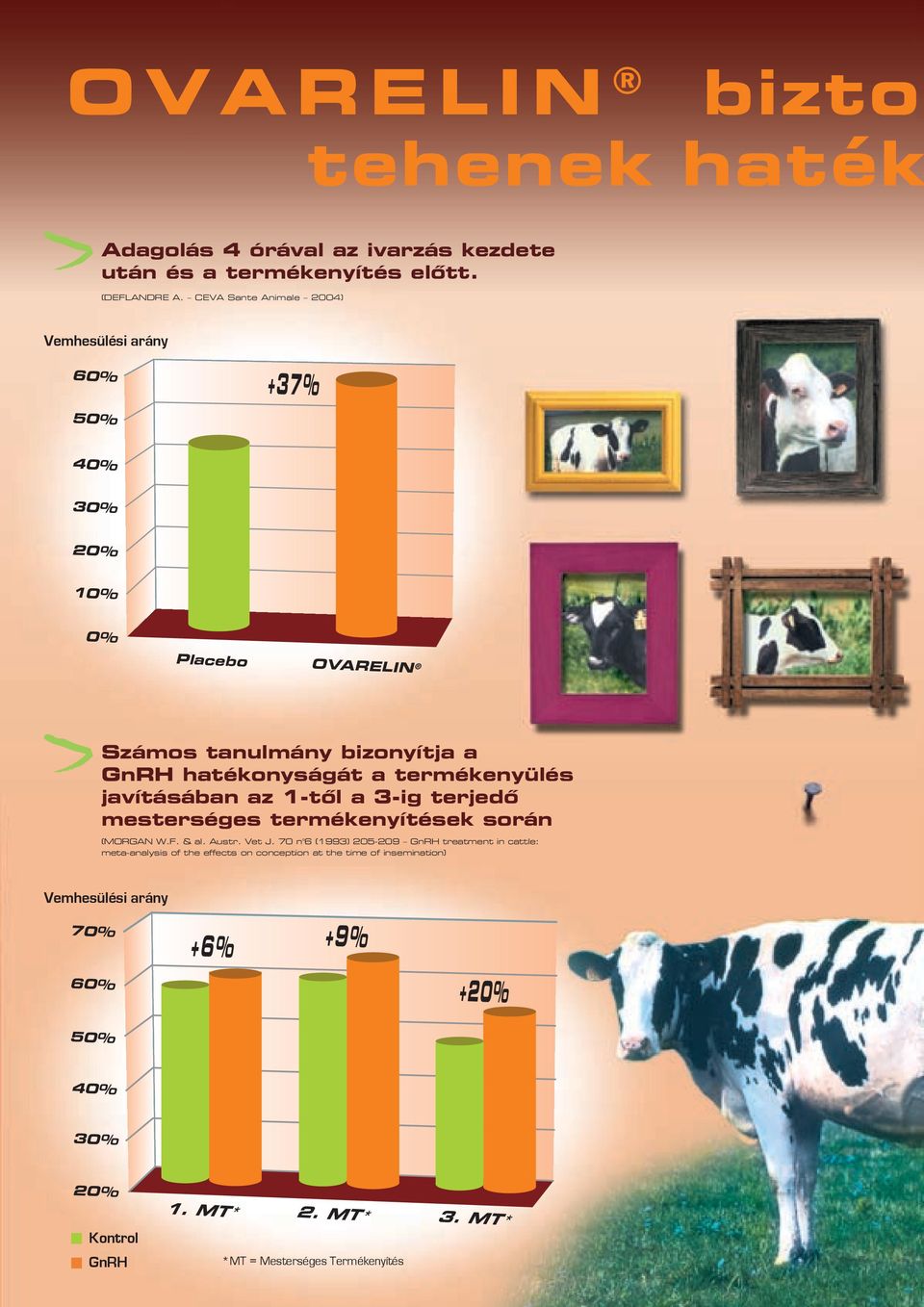 javításában az 1-től a 3-ig terjedő mesterséges termékenyítések során (MORGAN W.F. & al. Austr. Vet J.