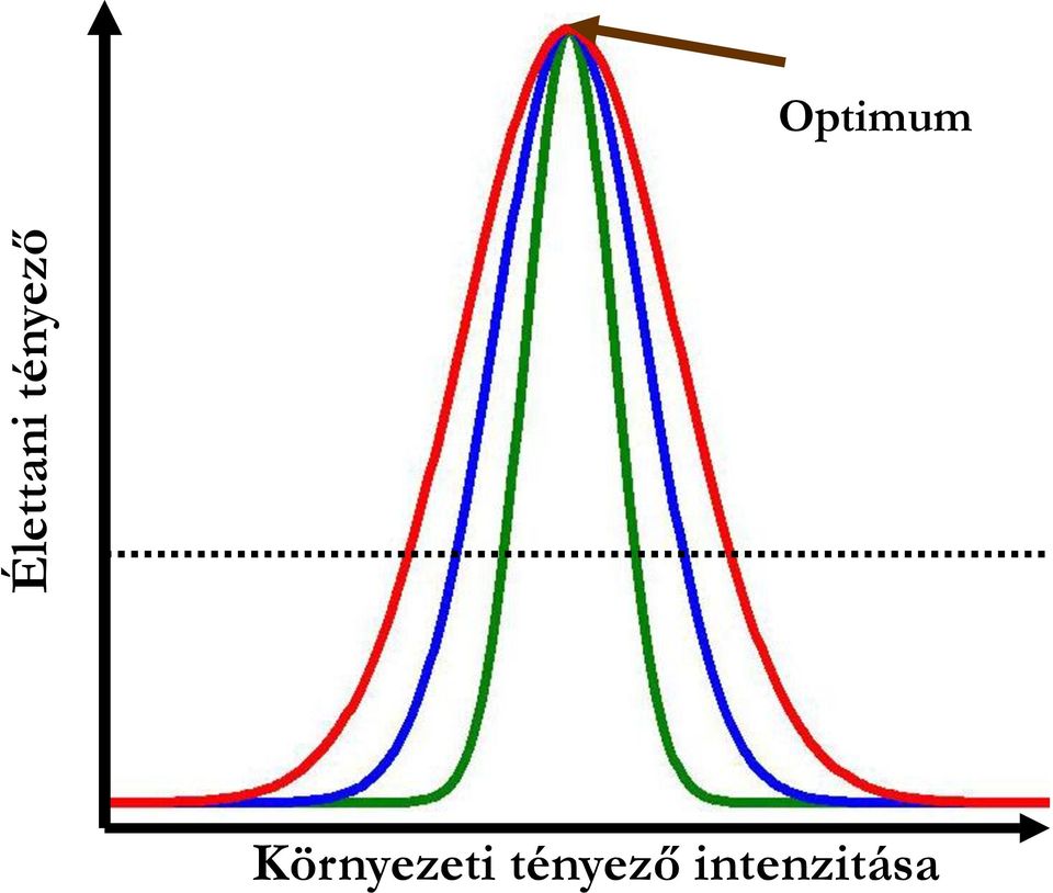 Optimum