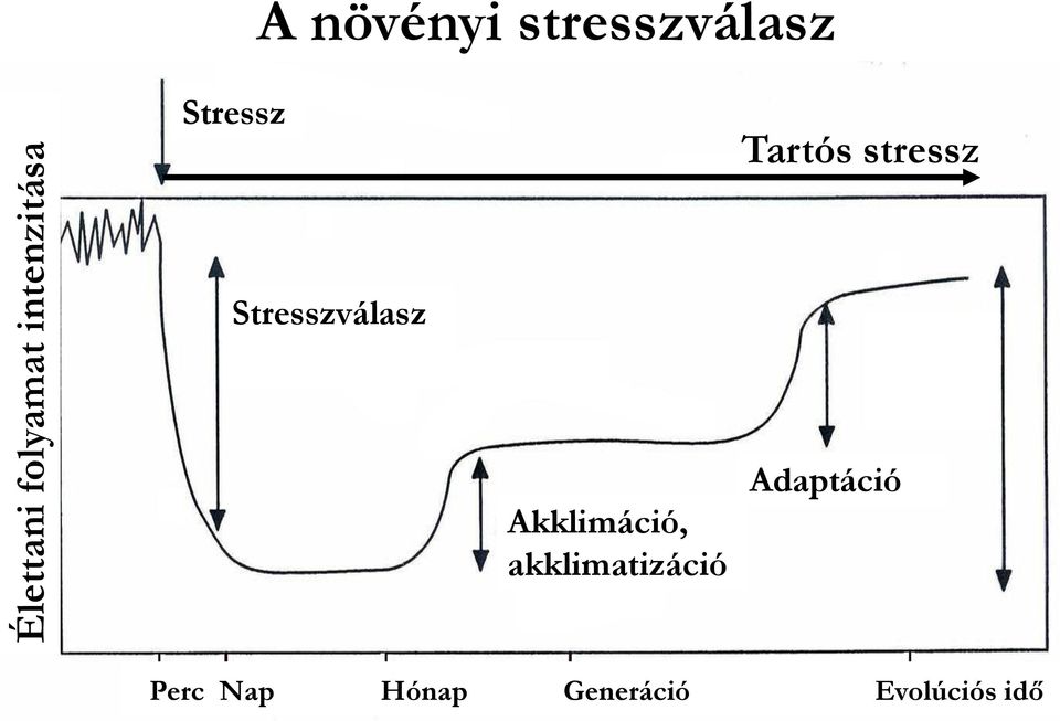 Stresszválasz Akklimáció, akklimatizáció